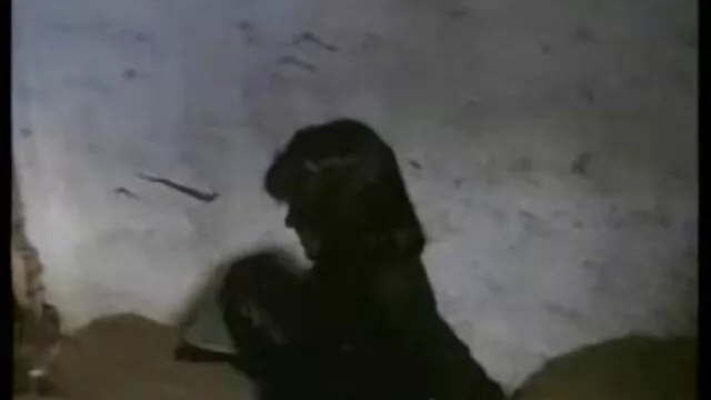 Маш сайн :  Том хөхтэй Brunette өсвөр насны Стефани Моретти хөхөх нь тахиа Видео клип 